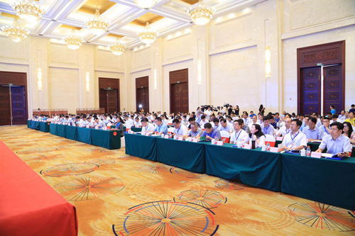 劳务对接架起致富桥 佛山携手凉山昭觉，全面启动家政扶贫新篇章